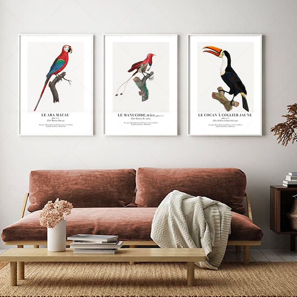ヴィンテージパラダイス鳥壁アートキャンバス絵画博物館北欧ポス - Furniture Paradise & Hardware Ghaziabad Photos のレビューと価格