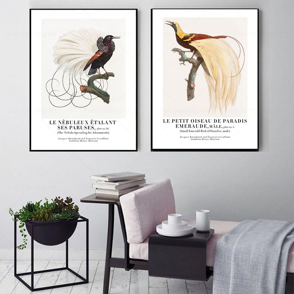 ヴィンテージパラダイス鳥壁アートキャンバス絵画博物館北欧ポス - Furniture Paradise & Hardware Ghaziabad Photos のレビューと価格