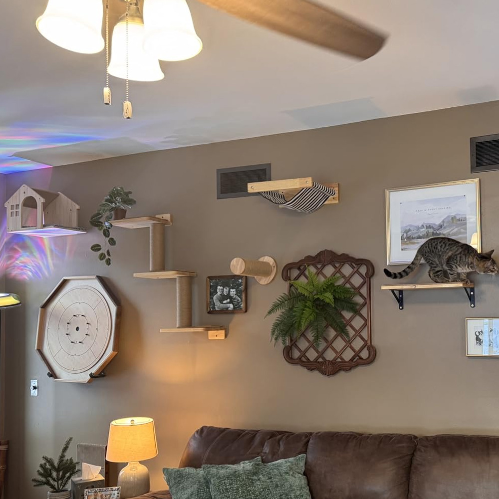 猫用家具 無垢材製吊り下げ式ブリッジ 壁掛け式サイザル麻製猫 - Furniture Paradise & Hardware Ghaziabad Photos のレビューと価格