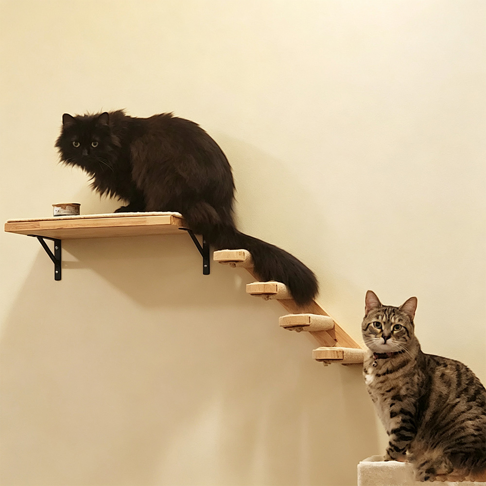猫用家具 無垢材製吊り下げ式ブリッジ 壁掛け式サイザル麻製猫 - Furniture Paradise & Hardware Ghaziabad Photos のレビューと価格
