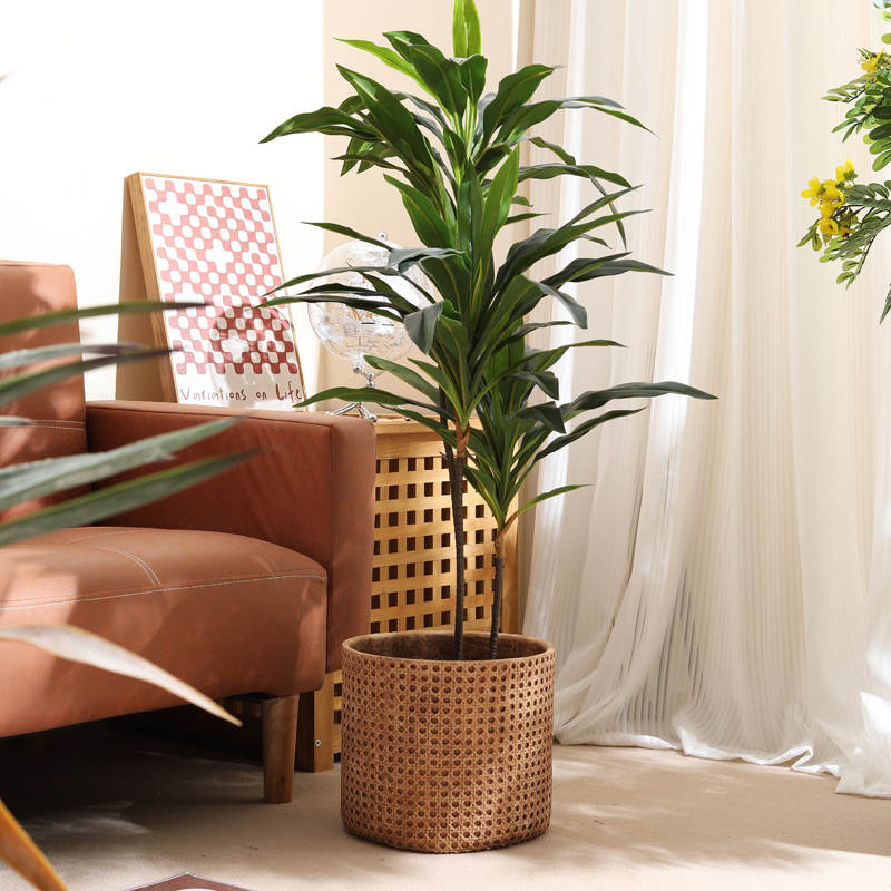 小型アパート用家具 床から天井までの植木鉢 ホームホール ガ - Furniture Paradise & Hardware Ghaziabad Photos のレビューと価格